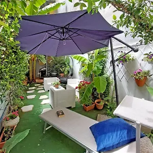 Luxury Domus Appartement